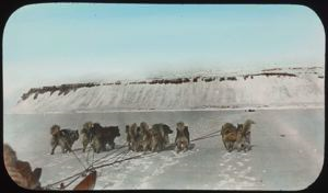 Image of Good Going! (Dogs Pulling Sledge)